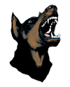 Dawg Performance